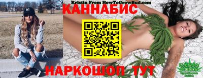 индика Беслан