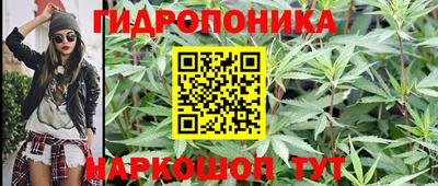 дживик Волжск