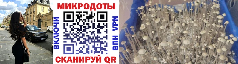 Галлюциногенные грибы прущие грибы  Каспийск 