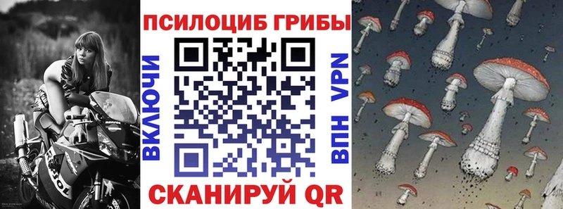 Псилоцибиновые грибы Psilocybine cubensis Каспийск